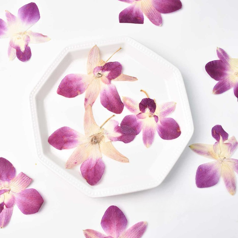 Orchid Phalaenopsis - 4 stuks, echte geperste vlinderorchideebloemen, doe-het-zelf
