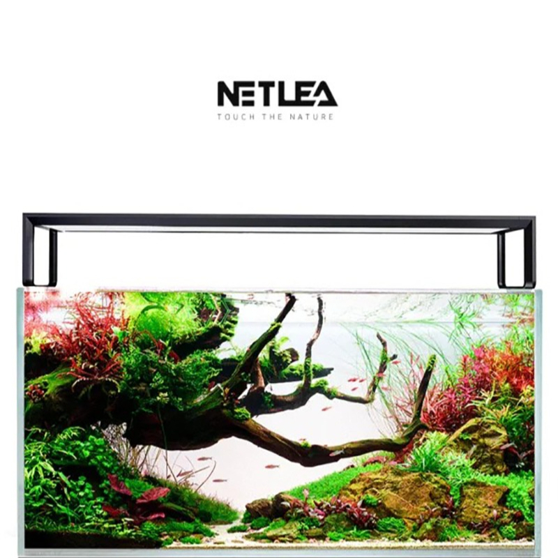 Netlea AT5S V4 Smart Wifi APP- - Plant Parent App recensie en prijs