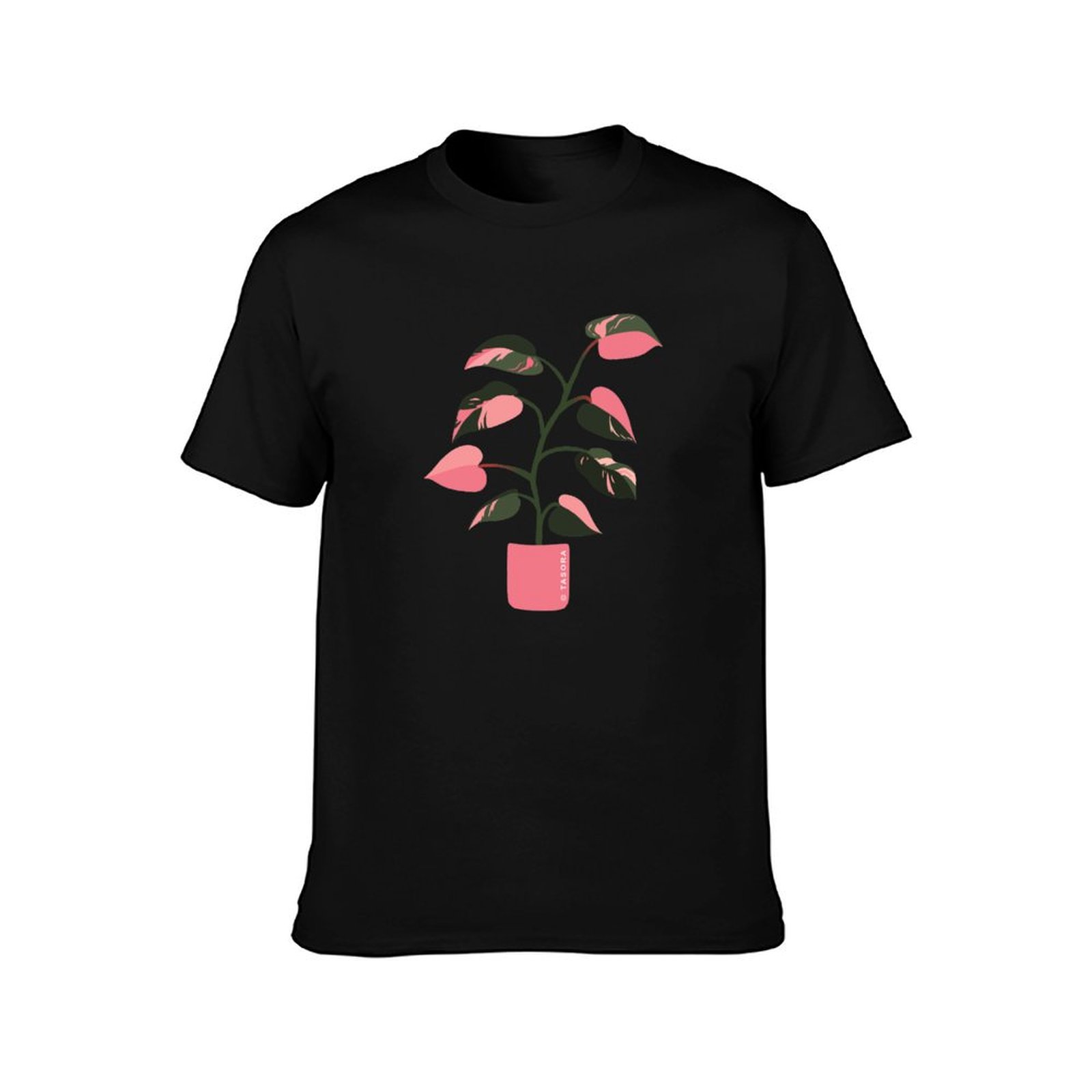 Philodendron Pink Princess kun - Philodendron Pink Princess recensie en prijs
