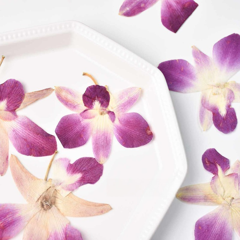 4 stuks, echte geperste vlinde - Orchid Phalaenopsis recensie en prijs