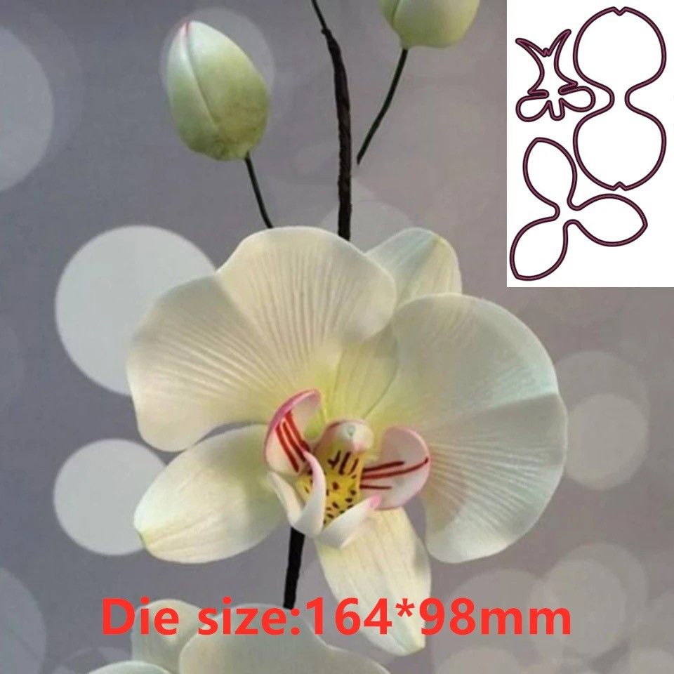 Orchidee Bloem Metaal Gesneden - Orchid Phalaenopsis recensie en prijs