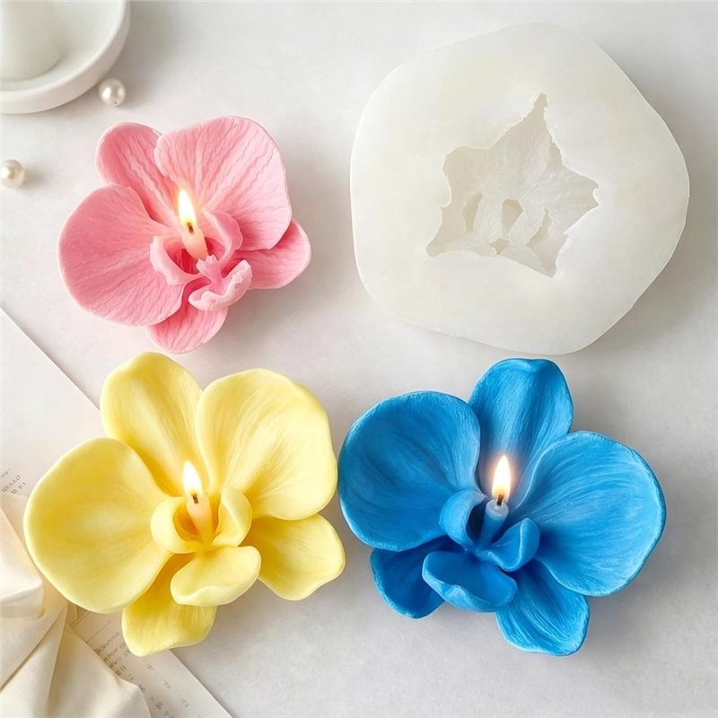 ABKP-Voor Fondant Chocolade Sn - Orchid Phalaenopsis recensie en prijs