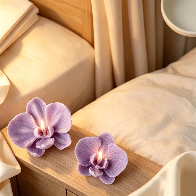 ABKP-Voor Fondant Chocolade Sn - Orchid Phalaenopsis recensie en prijs
