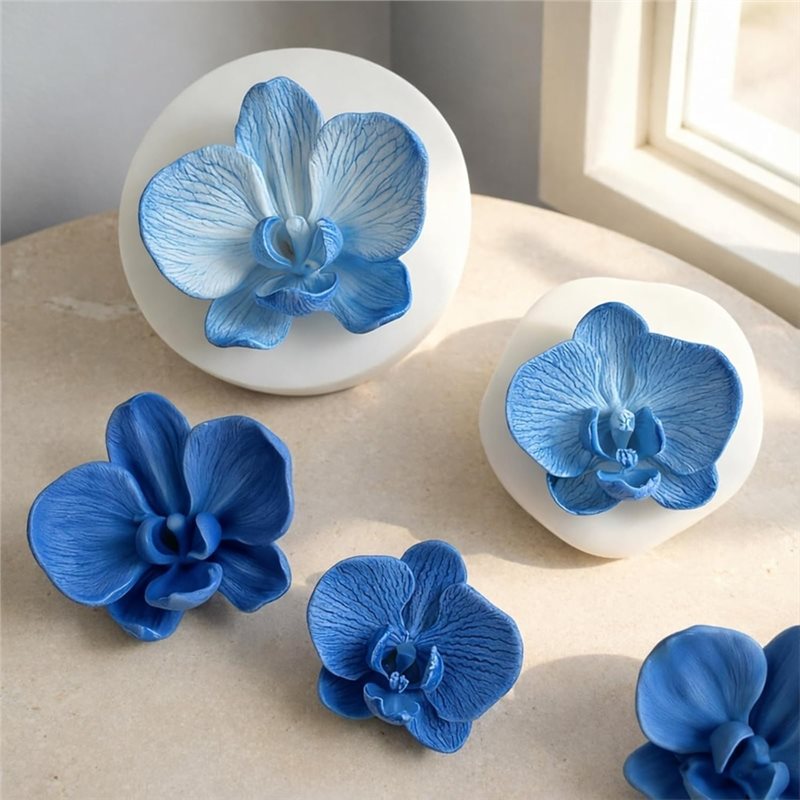 ABKP-Voor Fondant Chocolade Sn - Orchid Phalaenopsis recensie en prijs