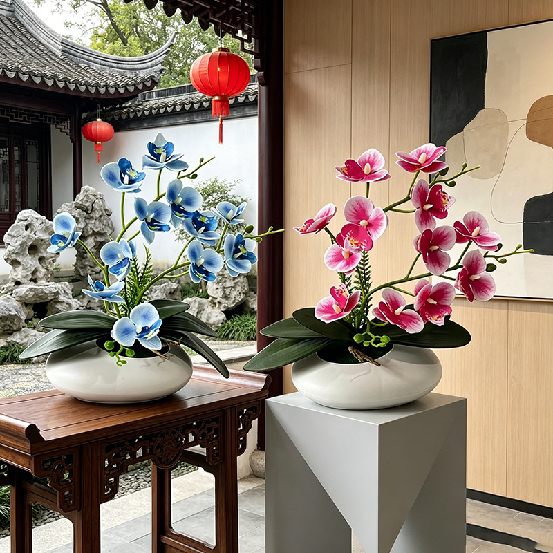 Vlinderorchidee 12 Bloemen Bon - Orchid Phalaenopsis recensie en prijs