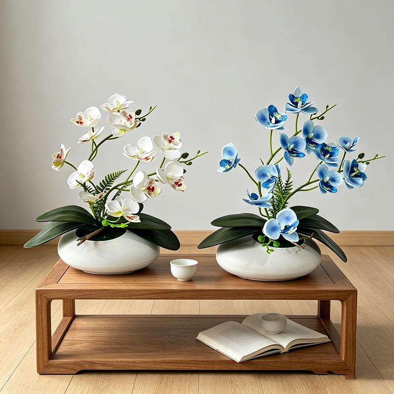 Vlinderorchidee 12 Bloemen Bon - Orchid Phalaenopsis recensie en prijs