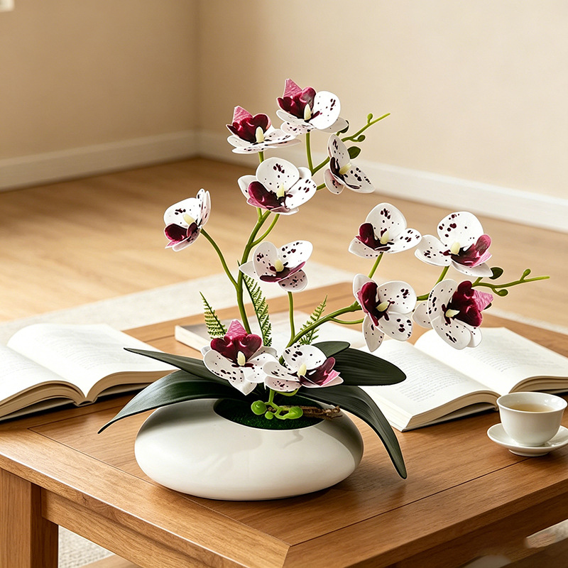 Vlinderorchidee 12 Bloemen Bon - Orchid Phalaenopsis recensie en prijs
