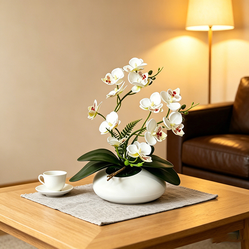 Vlinderorchidee 12 Bloemen Bon - Orchid Phalaenopsis recensie en prijs