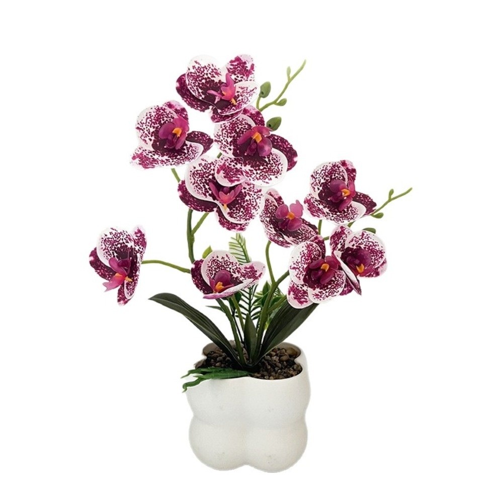 Multi-Bloom Gesimuleerde Vlind - Orchid Phalaenopsis recensie en prijs