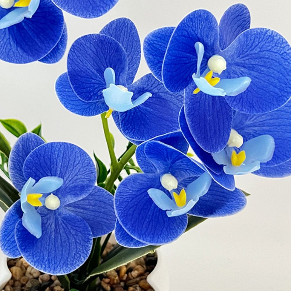 Multi-Bloom Gesimuleerde Vlind - Orchid Phalaenopsis recensie en prijs