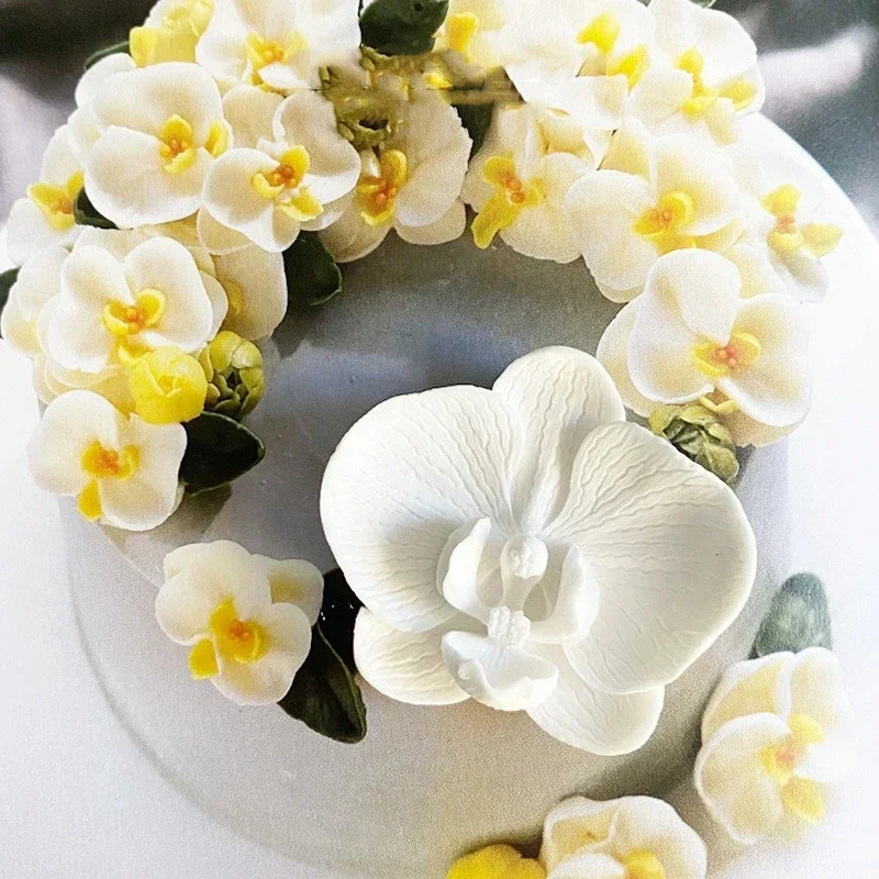 3D Bloem Aromatherapie Schimme - Orchid Phalaenopsis recensie en prijs